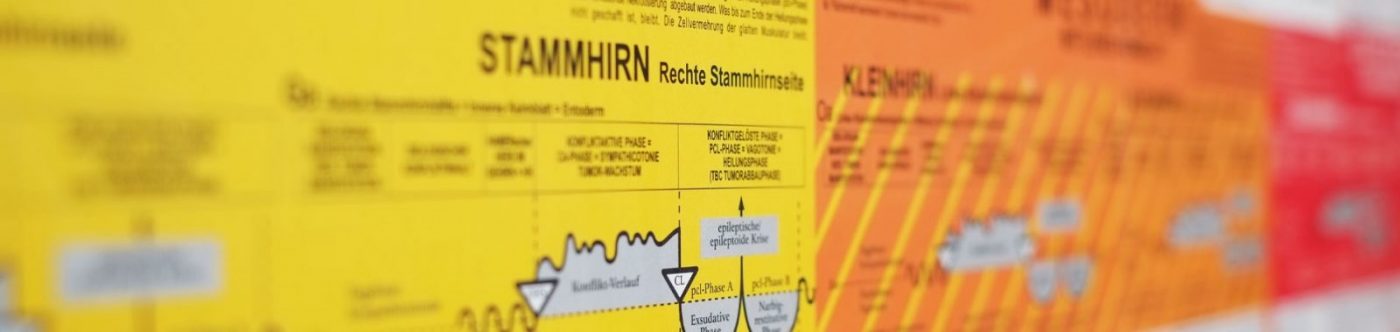 Germanische heilkunde dr hamer - Die Auswahl unter den analysierten Germanische heilkunde dr hamer!