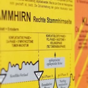 Ovarian Cancer right - Diagnostic Chart of Germanische Heilkunde