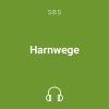 harnwege mp3 1