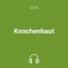 knochenhaut mp3 1
