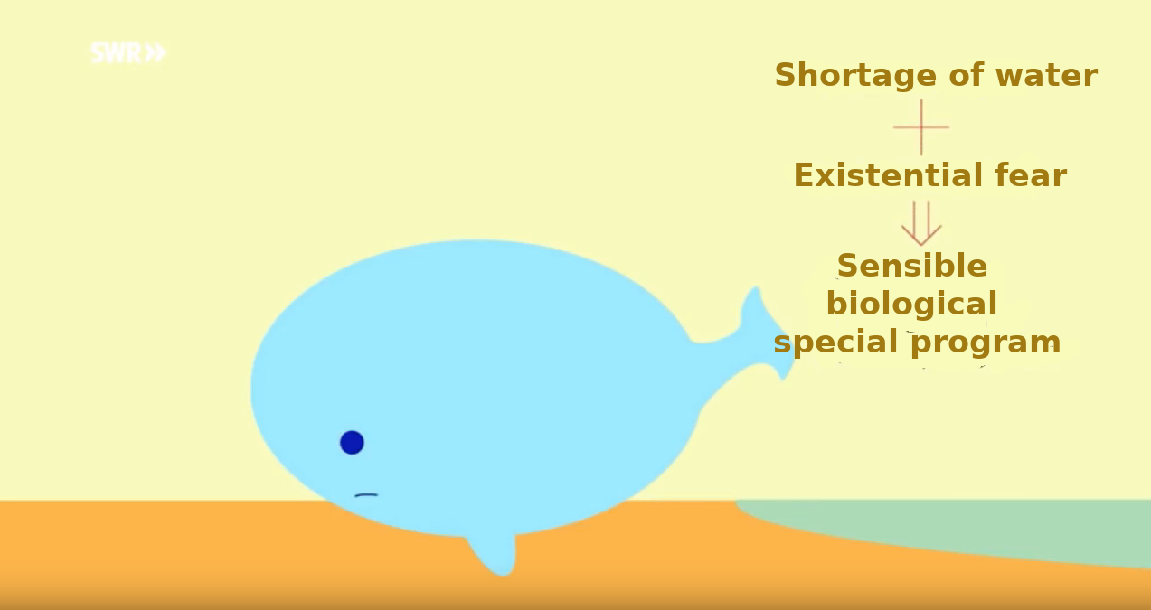 Akademie für Germanische Heilkunde