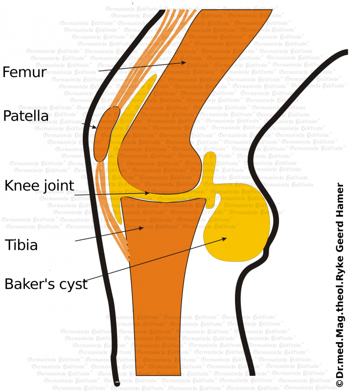 Akademie für Germanische Heilkunde