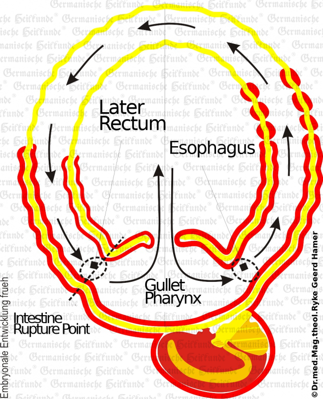 Akademie für Germanische Heilkunde