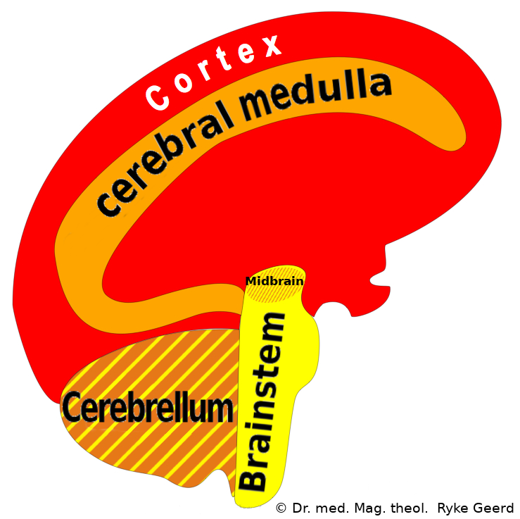 Akademie für Germanische Heilkunde