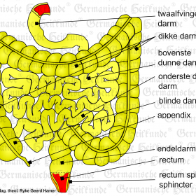Orgaan darm – symptomen