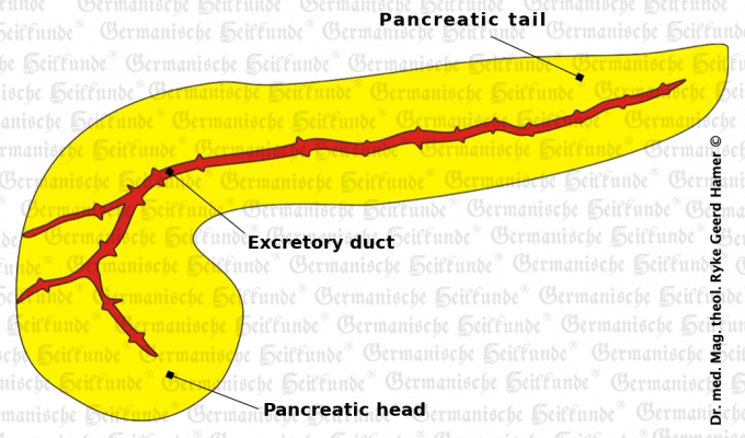 grafik organ pankreas