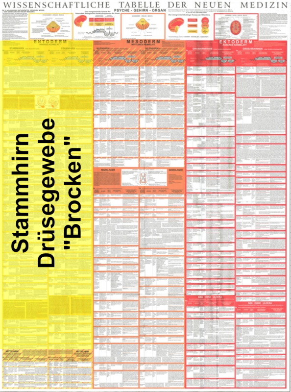 Akademie für Germanische Heilkunde